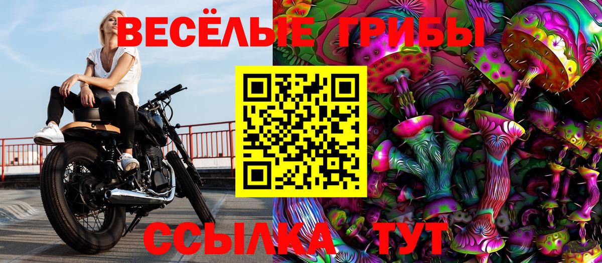 Лабинск  Галлюциногенные грибы ЛСД  Галлюциногенные грибы Psilocybine cubensis  Вход с VPN 